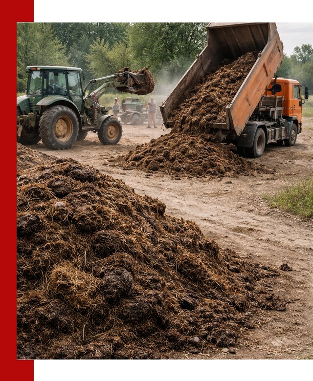 Доставка навоза самосвалами в Дюртюли для сельхозпотребностей